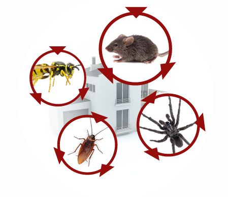 pest-control2